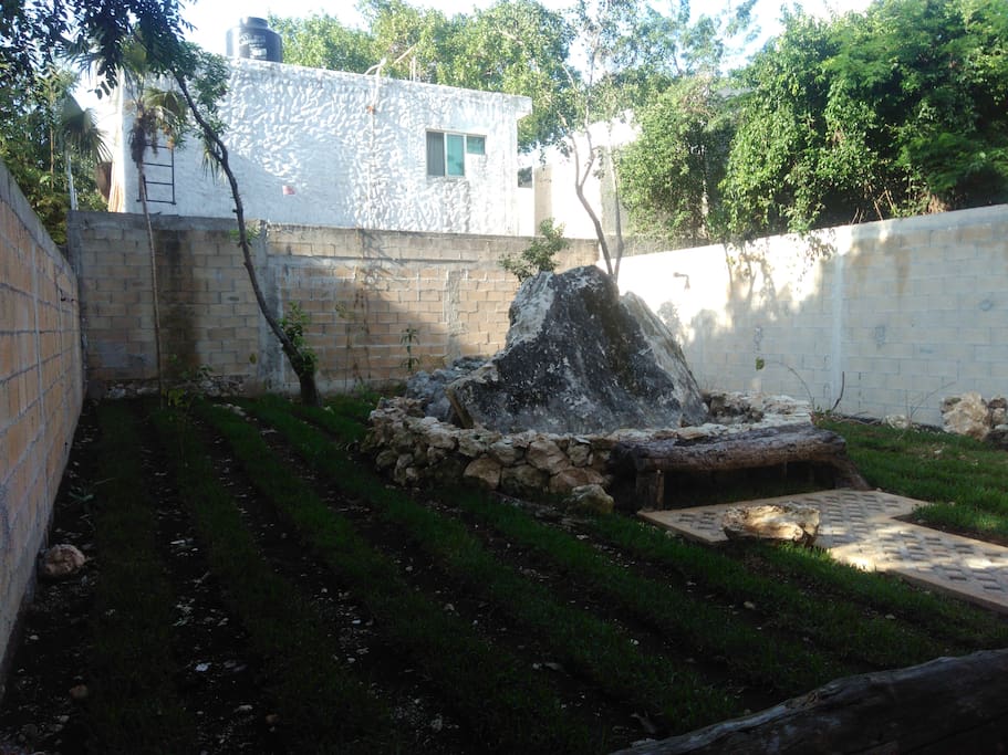 Jardin / Garden