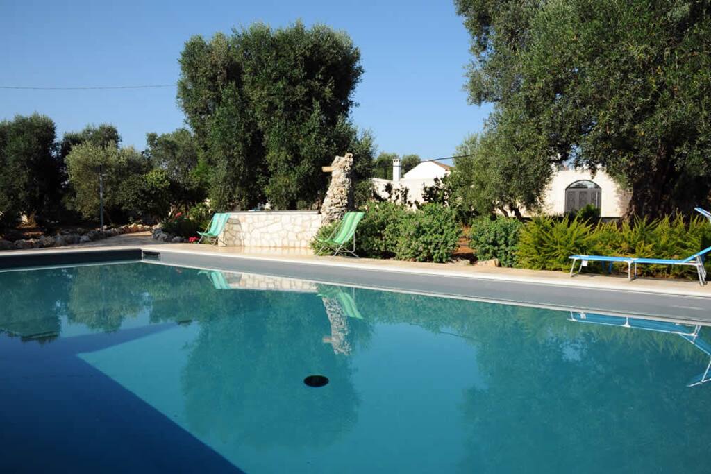 Piscina 9x12 (no cloro)