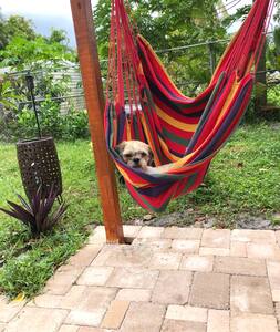 Garden house 1a mixed share-room,