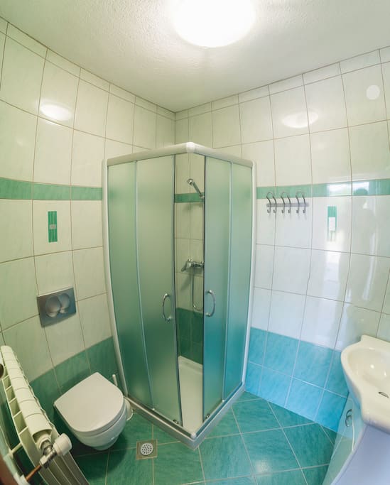 Private bathroom with shower