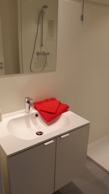 modern bathroom with big shower and towels included