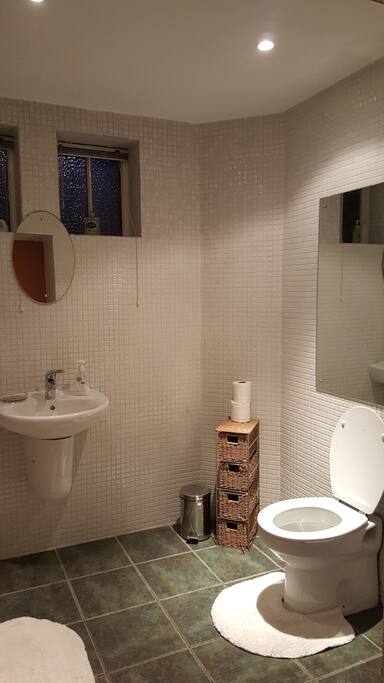 Bedroom 1 Downstairs En Suite