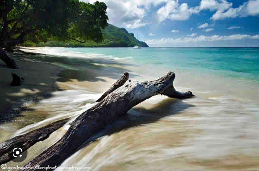 A serene beach scene is presented, featuring gentle waves lapping onto the shore. A driftwood log stretches across the sand, with lush greenery and distant hills visible along the coastline. The clear blue sky blends seamlessly with the tranquil water, creating a peaceful atmosphere.