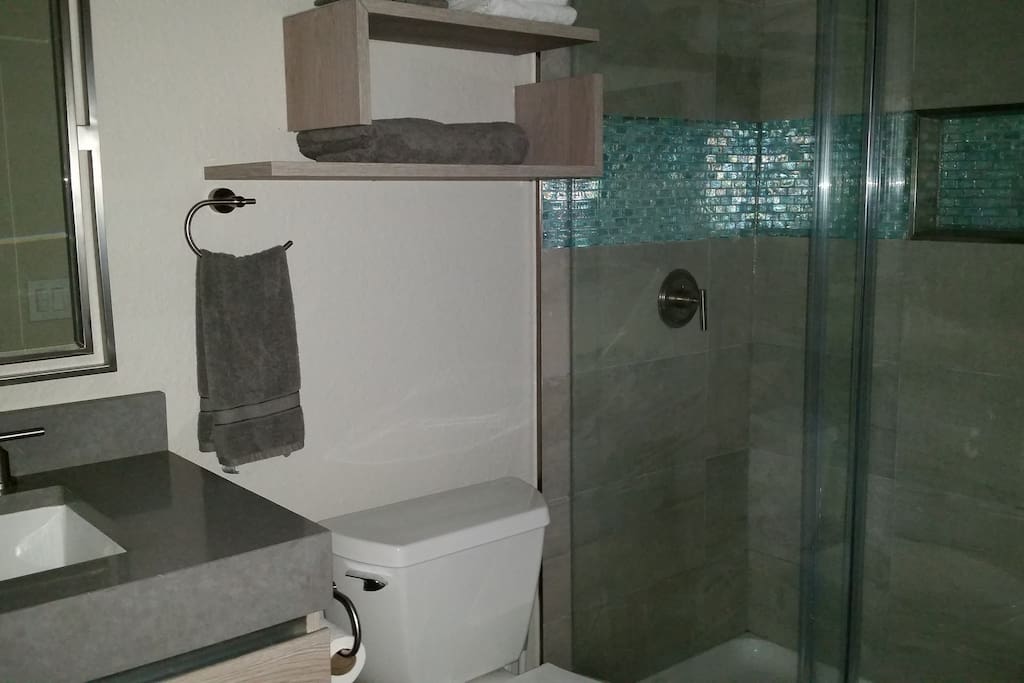 Full bathroom - new custom shower, sink, lighting and mirror