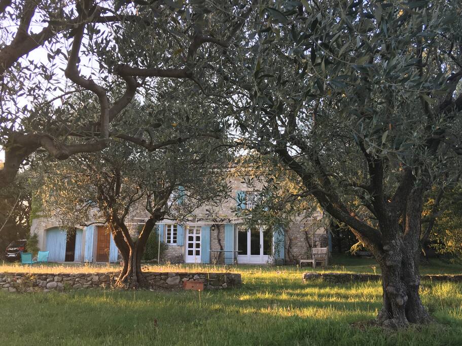 The house in spring