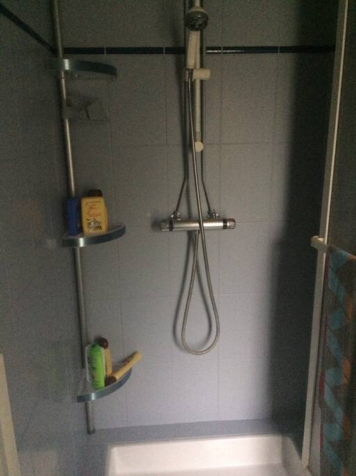 Cabine de douche dans salle de bain avec WC.