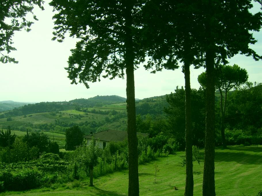Le colline e la vista dalle due camere. Hills view from the rooms