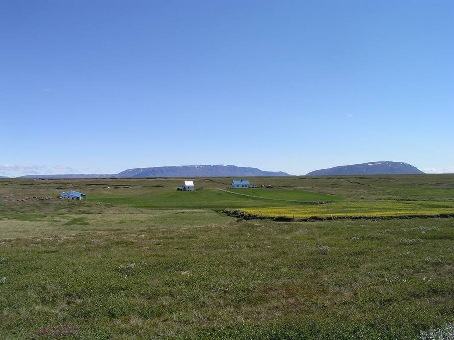 The farm is situated on a almost 4000 acres of unspoiled highland above Myvatn lake