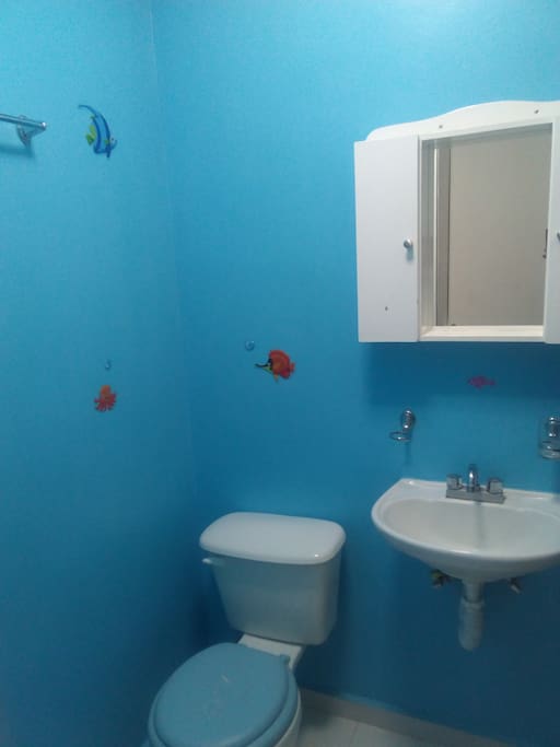 Se cuenta con un baño limpio y cómodo, ademas con una regadera con cancel de cristal