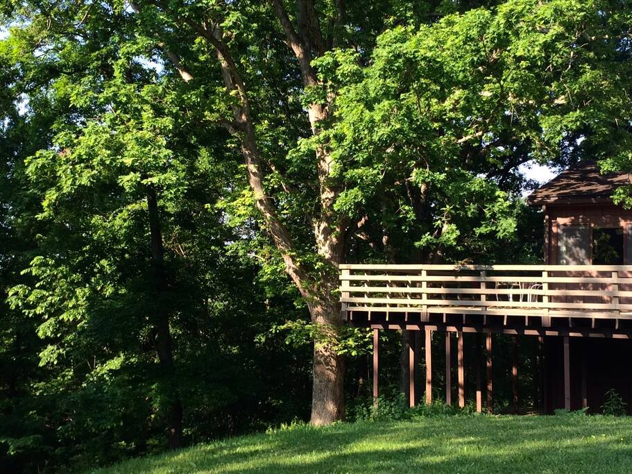 This deck truly overlooks the woods!
