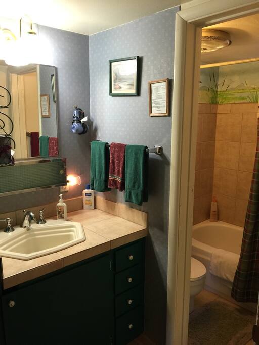 Vanity area is brightly lit and sparkling clean.