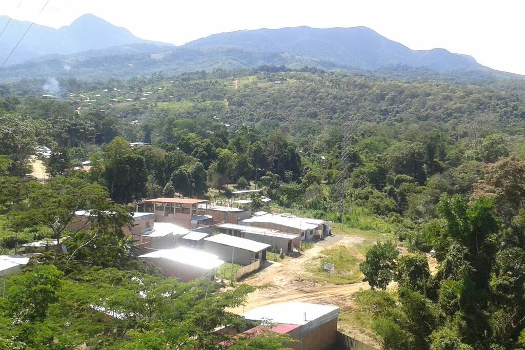 Beautiful view of nature