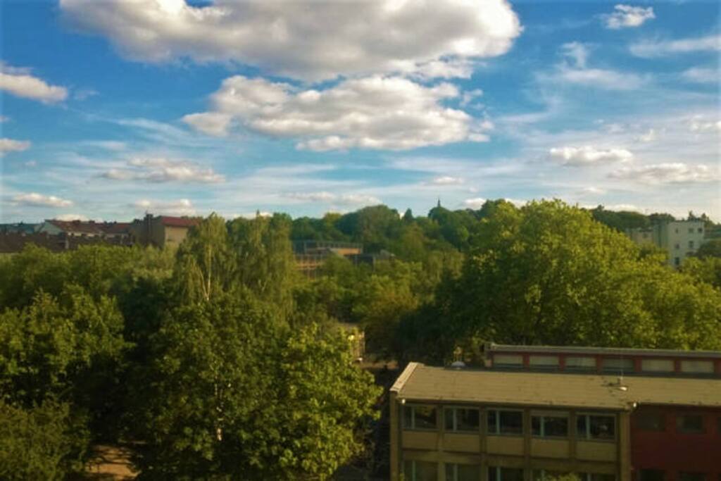 The view