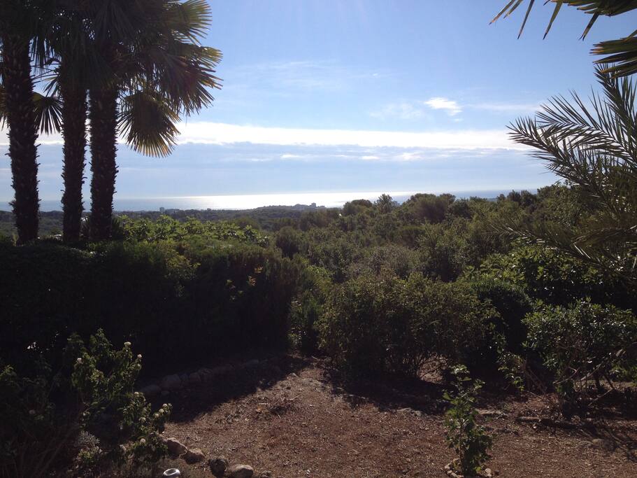 Jardin vue mer