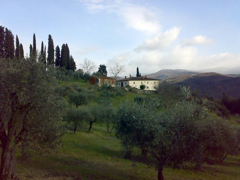 La casa è una colonica costruita nel 1700 tra uliveti e vigneti