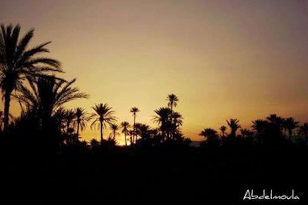 Sunset in Skoura