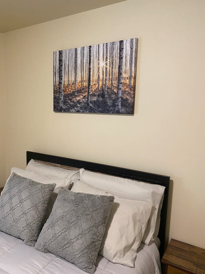 Queen საძინებელი 55 დიუმიანი Roku ტელევიზორით Disney+, Hulu და ESPN+