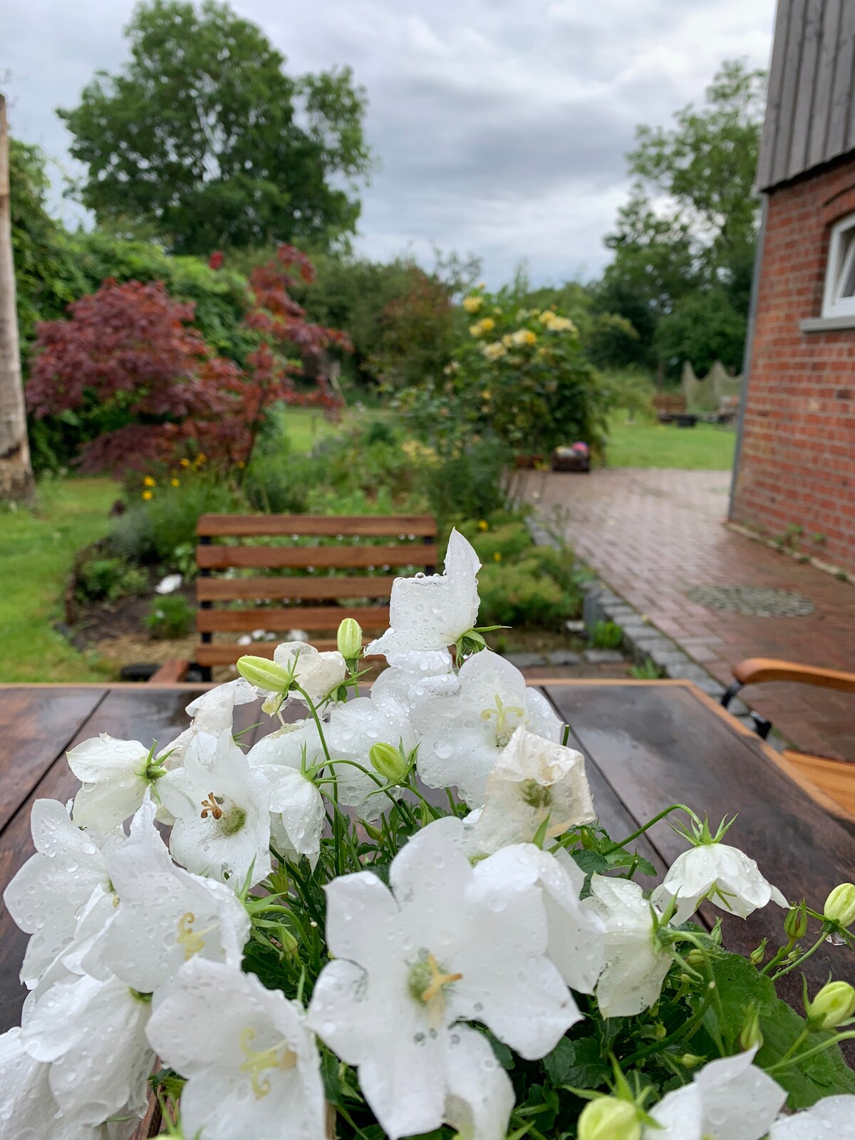 A table with a bouquet of white flowers is placed in the foreground, while a lush garden is visible in the background. Various greenery, including blooming plants and trees, fills the space, creating a peaceful outdoor environment. Paths winding through the garden lead to a distant seating area.
