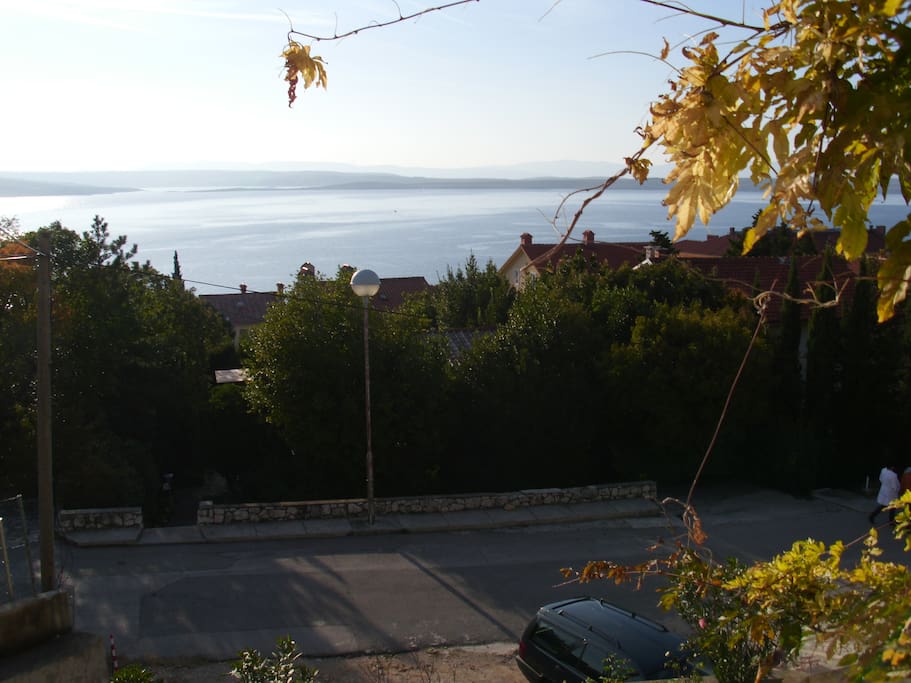 Vista