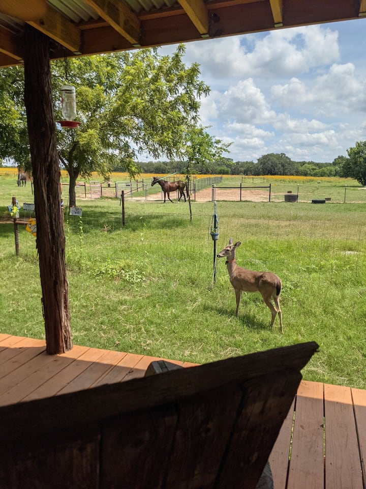 Atascosa County Holiday Rentals & Homes United States Airbnb