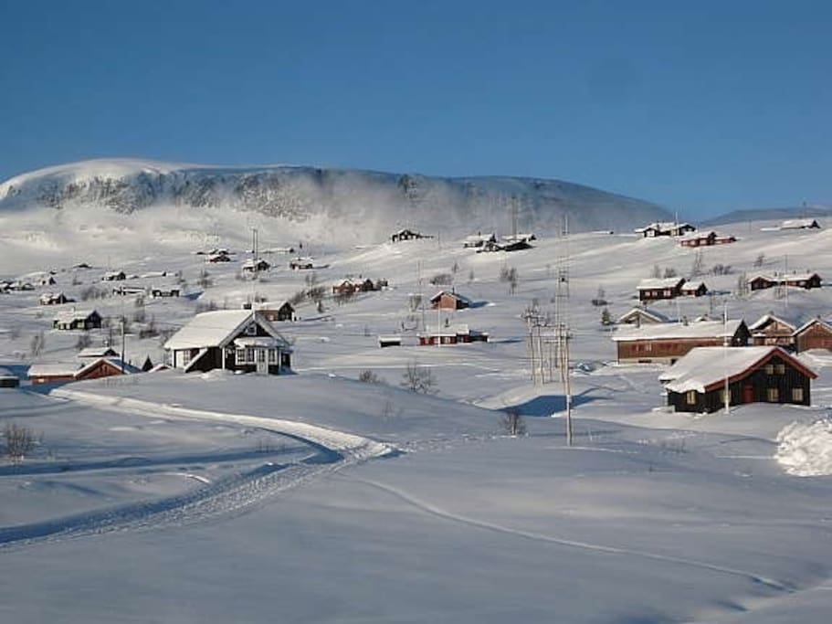 View from living room, Hallingskarvet in the background.
