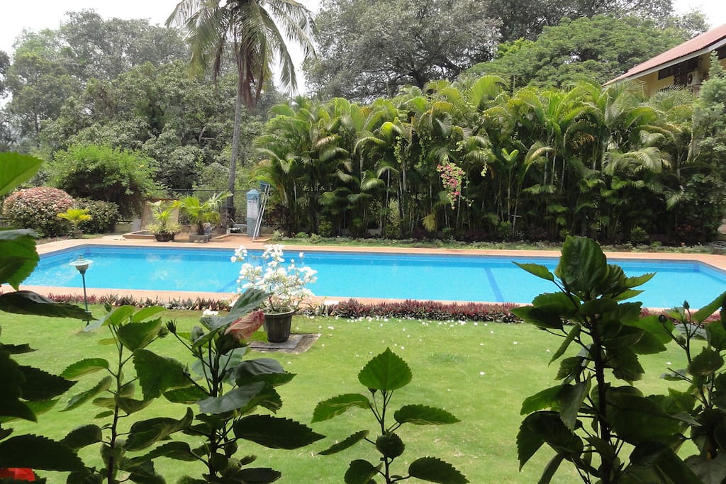 The pool and countryside beyond