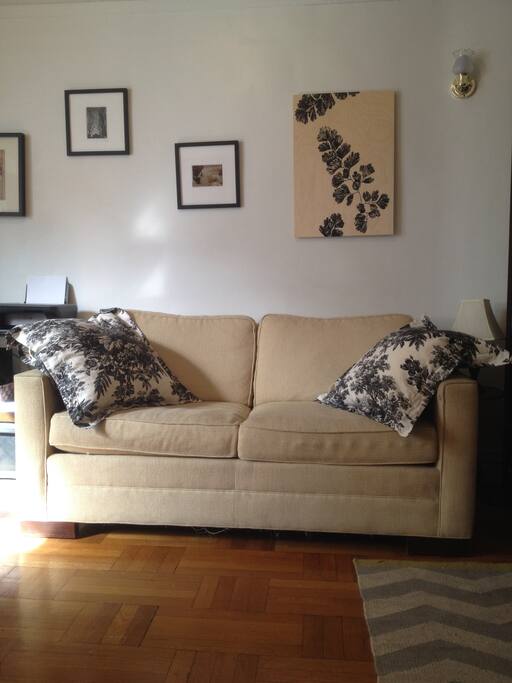 Sofa folds in when not being used as a bed.