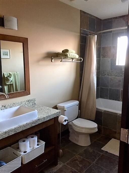 Full bathroom with shower and large soaker tub