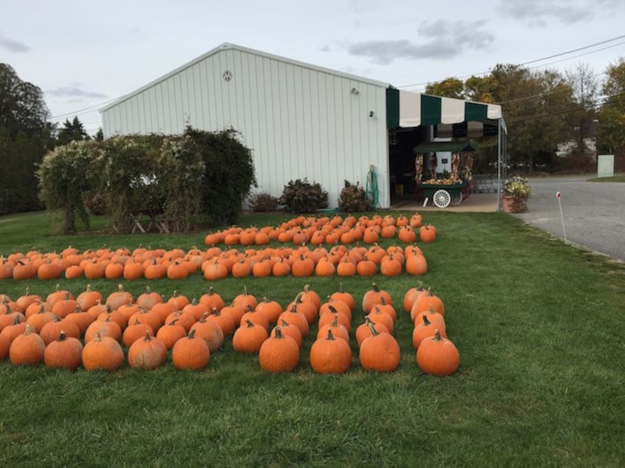 Farmers Market right down the street
