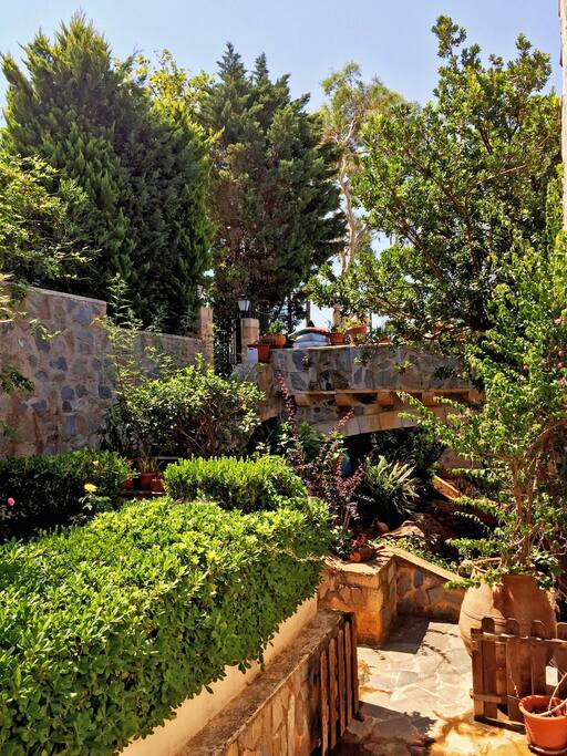The garden is full of green trees and flowers