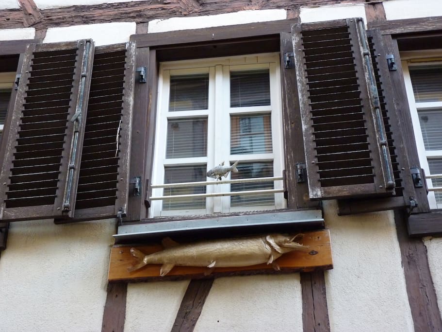 Authentic confortable and cosy alsacian House return in year 1780