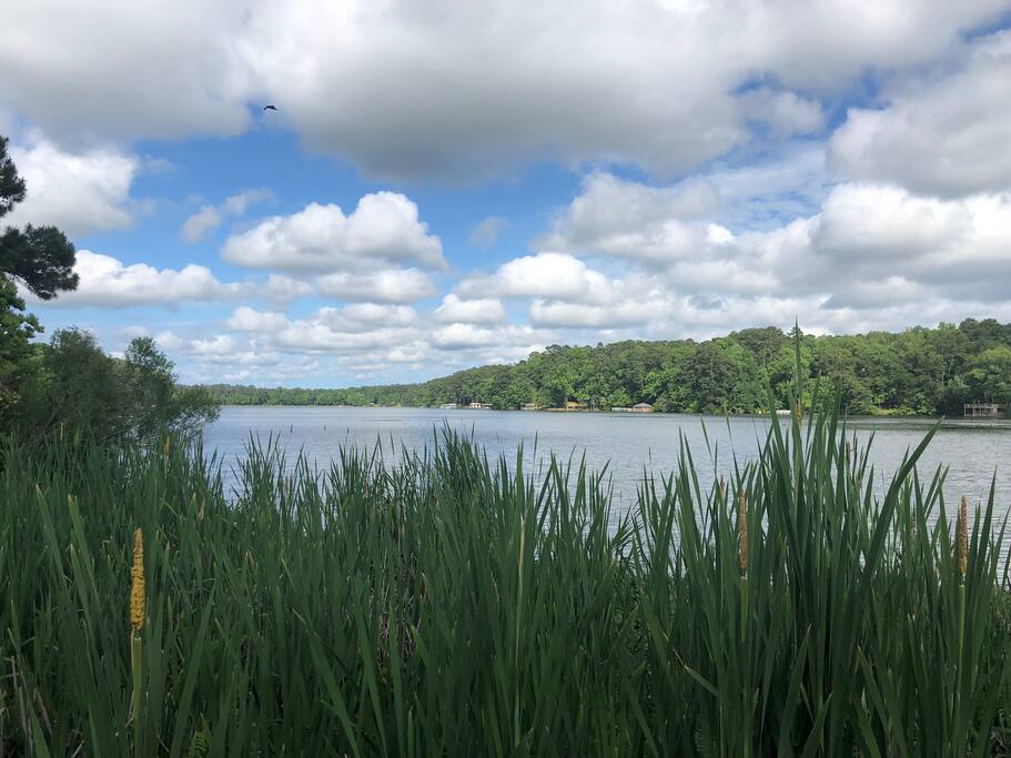 Lake Dixie Springs by day