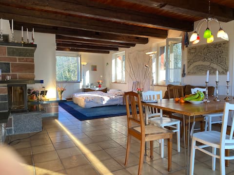 Basel Old Town 19' public transport bus direct, 5 room house.