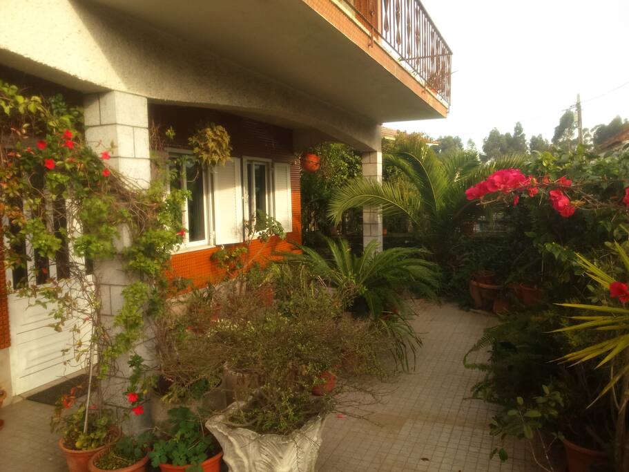 jardin fleuri