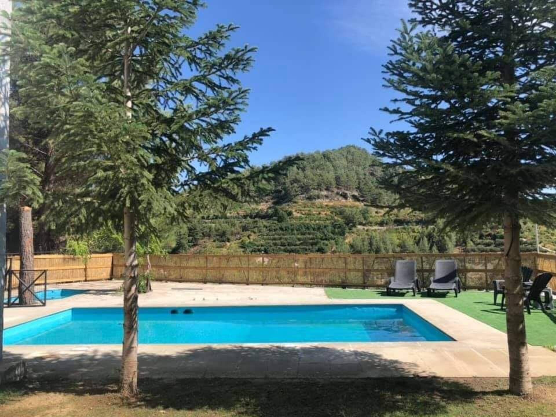 The Cosy Pine — photo 4