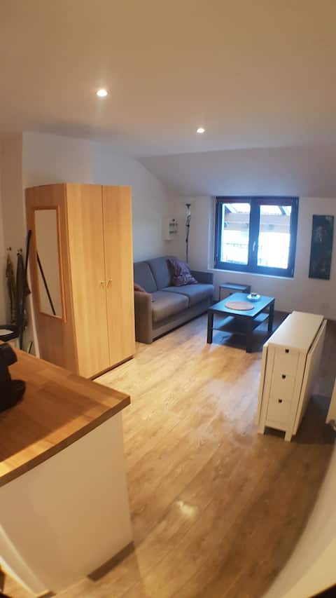 Beautiful equipped studio 4 min border 20 Geneva center