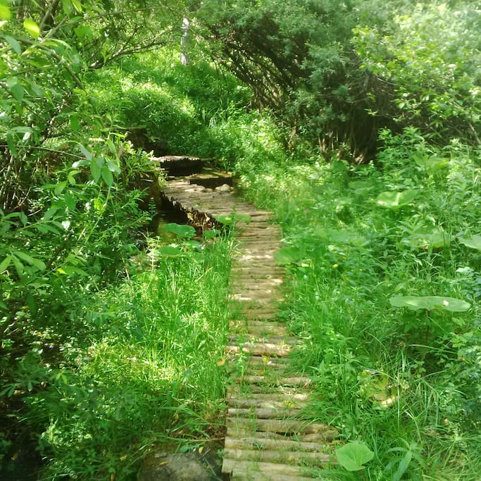 Creek 100m from property