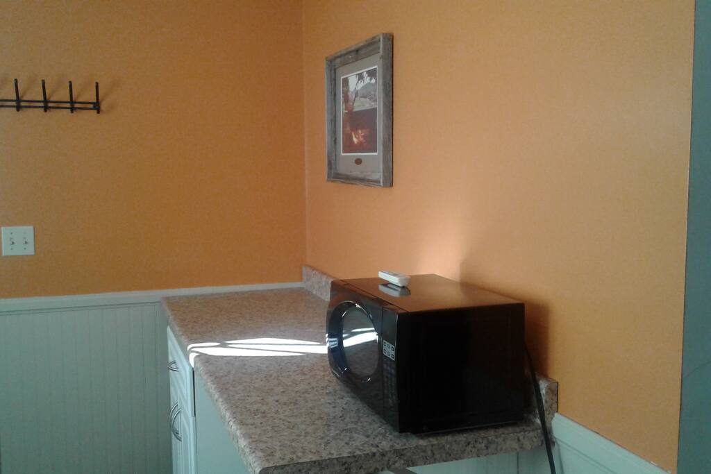 Microwave and mini fridge