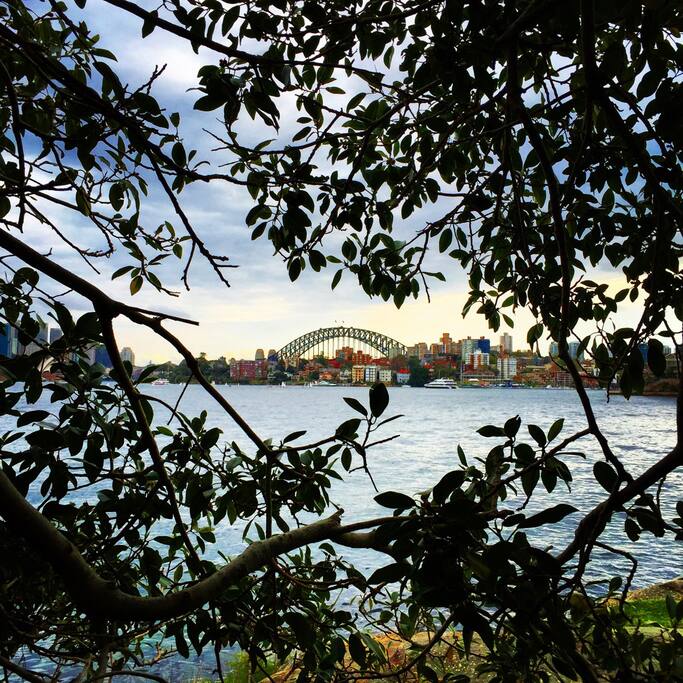 Photo of Cremorne Point