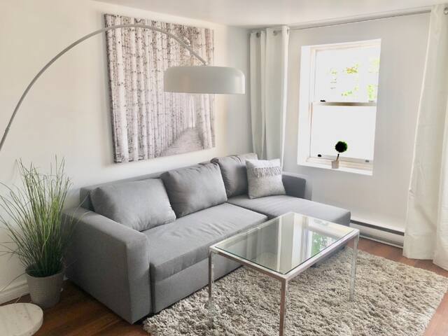 PrivateTerrasseOldQc 2BdrChamplain Parking AC Wifi gallery image 2