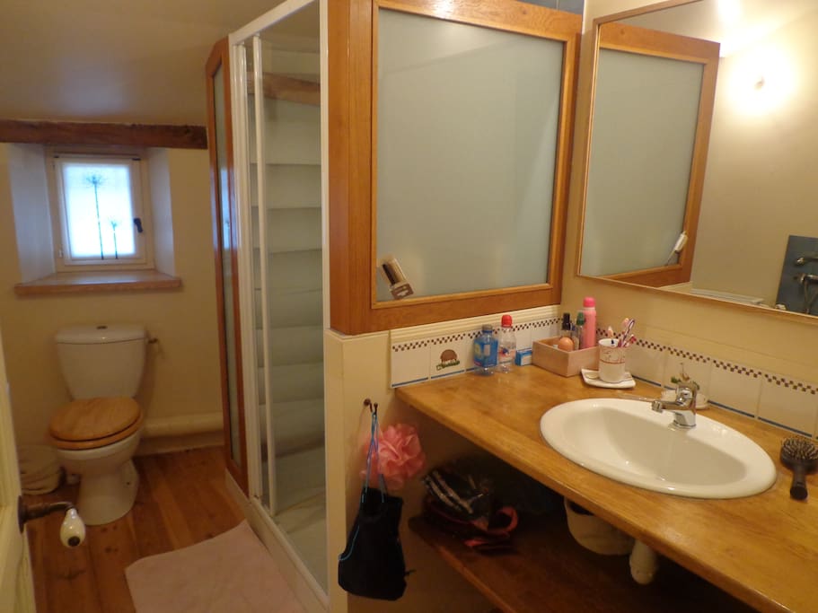 Salle de douche avec WC, douche et lavabo