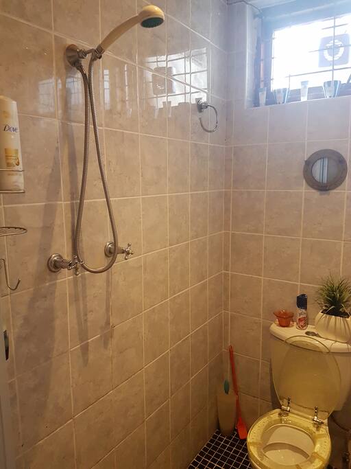 shower in toilet