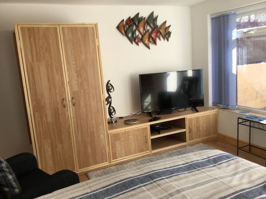 Large flat screen TV