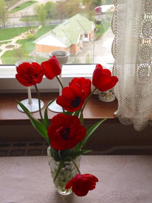 Spring Flowers