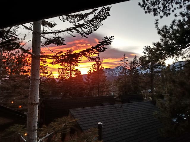 Stairway to Majestic Mountain Views!