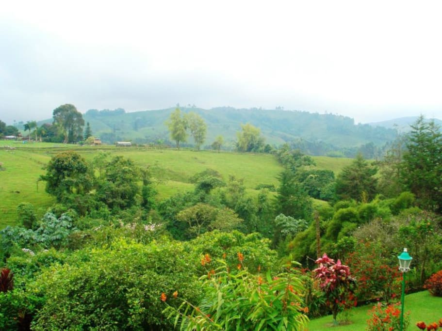 PAISAJE NATURAL