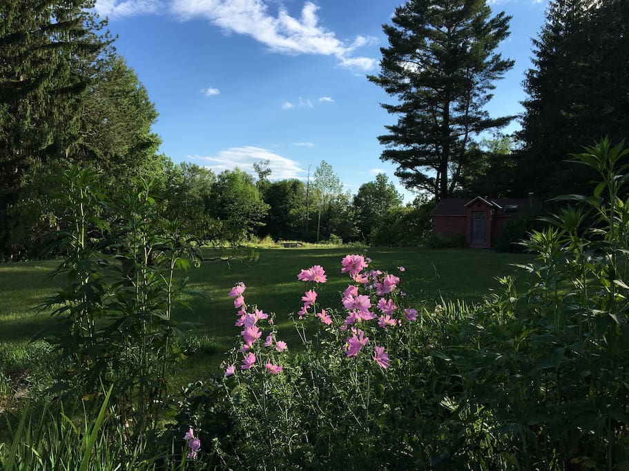 Large yard great for games and a beautiful fire pit for starry nights