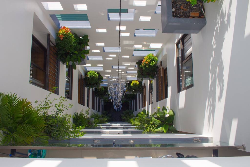 In-house garden with lush trees and sparkling lighted during evening until nite