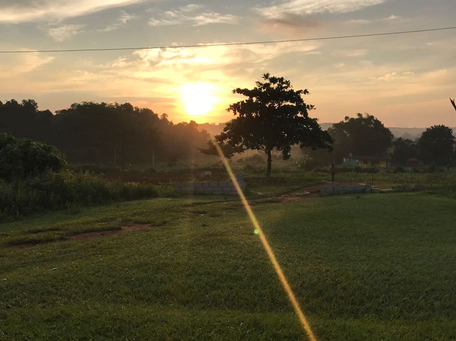 Sunrise with the roosters