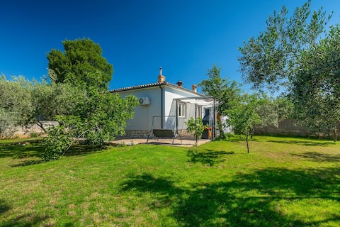 Top performing Airbnb: Chill out Loborika Hrvatska in Općina Marčana